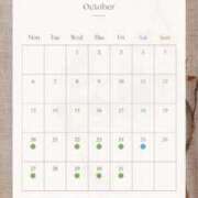 ヒメ日記 2025/11/08 06:37 投稿 すみれ THE ESUTE 渋谷