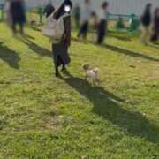 ヒメ日記 2025/11/23 20:47 投稿 ゆうり THE ESUTE 渋谷