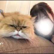 ヒメ日記 2026/03/19 17:37 投稿 ゆうり THE ESUTE 渋谷