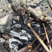 ヒメ日記 2025/08/22 19:27 投稿 なず THE ESUTE 渋谷