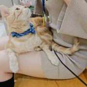 ヒメ日記 2025/03/09 14:28 投稿 みなも おっぱいご奉仕したいの♡ Office Love　町田店（Loveグループ）