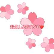 ヒメ日記 2026/04/02 13:57 投稿 あゆみ 宮崎ちゃんこ中央通店