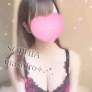 ヒメ日記 2024/08/05 11:43 投稿 ましろ SOPHIA（ソフィア）