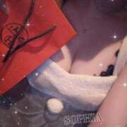 ましろ 🪽 めりくり SOPHIA（ソフィア）