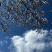 れい 満開🌸 水色りぼん