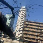 ヒメ日記 2026/03/27 12:01 投稿 森なな セレブショップ新宿（東京ハレ系）