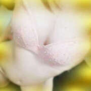 ヒメ日記 2025/08/27 11:49 投稿 ことこ めちゃいちゃ若妻