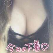 ヒメ日記 2025/01/17 12:20 投稿 ひまり 福盛