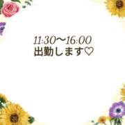 ヒメ日記 2024/08/19 10:40 投稿 森  陽香 五十路マダム金沢店