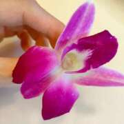 ヒメ日記 2025/01/03 09:36 投稿 森  陽香 五十路マダム金沢店