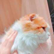 ヒメ日記 2025/02/22 22:24 投稿 森  陽香 五十路マダム金沢店