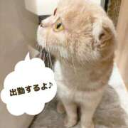 ヒメ日記 2025/02/26 12:22 投稿 森  陽香 五十路マダム金沢店