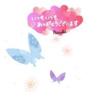 ヒメ日記 2025/04/16 00:36 投稿 森  陽香 五十路マダム金沢店