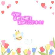 ヒメ日記 2025/05/15 08:40 投稿 森  陽香 五十路マダム金沢店