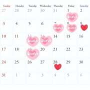 ヒメ日記 2025/08/03 14:18 投稿 森  陽香 五十路マダム金沢店