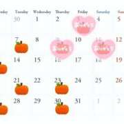 ヒメ日記 2025/09/30 07:42 投稿 森  陽香 五十路マダム金沢店