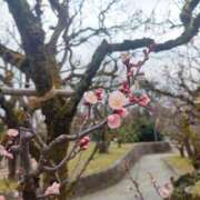 森  陽香 今日♪ 五十路マダム金沢店