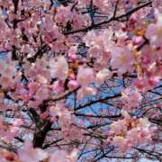 森  陽香 4月 五十路マダム金沢店