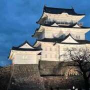 ヒメ日記 2025/02/12 18:04 投稿 みゆ 小田原人妻城