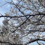 ヒメ日記 2025/04/08 09:18 投稿 みゆ 小田原人妻城