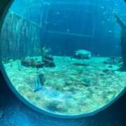 ヒメ日記 2025/07/04 09:56 投稿 みゆ 小田原人妻城