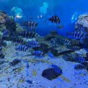 ヒメ日記 2025/07/20 13:16 投稿 みゆ 小田原人妻城