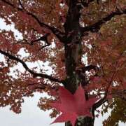 ヒメ日記 2025/11/06 09:01 投稿 みゆ 小田原人妻城