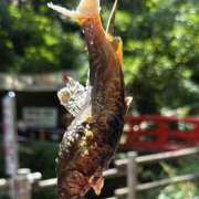 ヒメ日記 2025/11/06 17:06 投稿 みゆ 小田原人妻城