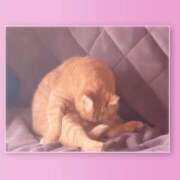 ヒメ日記 2025/11/15 09:05 投稿 みゆ 小田原人妻城