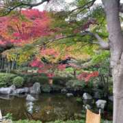 ヒメ日記 2025/11/26 14:00 投稿 みゆ 小田原人妻城