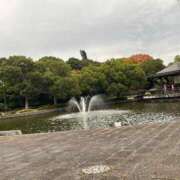 ヒメ日記 2025/12/01 17:51 投稿 みゆ 小田原人妻城