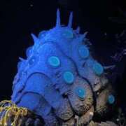 ヒメ日記 2025/12/07 15:45 投稿 みゆ 小田原人妻城