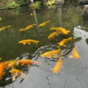 みゆ 本日満員御礼🈵 小田原人妻城