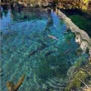 みゆ 思ったこと感じたこと 小田原人妻城