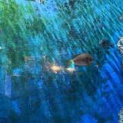 ヒメ日記 2026/03/13 19:22 投稿 みゆ 小田原人妻城