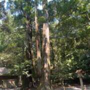 みゆ レディー 小田原人妻城