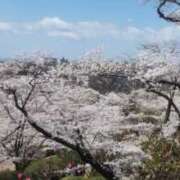 ヒメ日記 2025/04/10 11:37 投稿 田代 愛妻倶楽部 宇都宮店