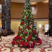 ヒメ日記 2024/12/07 04:01 投稿 新人・愛花(あいか) グランドオペラ福岡