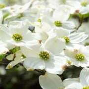 ヒメ日記 2025/06/01 08:47 投稿 新人・愛花(あいか) グランドオペラ福岡