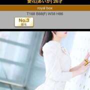 ヒメ日記 2025/06/04 11:31 投稿 新人・愛花(あいか) グランドオペラ福岡