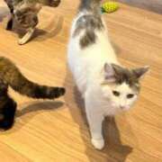 ヒメ日記 2024/12/10 11:12 投稿 桐山 真美 30代40代50代と遊ぶなら博多人妻専科24時