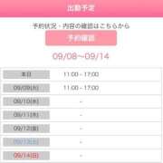 ヒメ日記 2025/09/08 09:52 投稿 桐山 真美 30代40代50代と遊ぶなら博多人妻専科24時