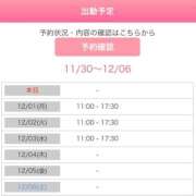 ヒメ日記 2025/11/30 14:12 投稿 桐山 真美 30代40代50代と遊ぶなら博多人妻専科24時