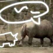 ヒメ日記 2025/09/27 21:59 投稿 小桜　すずね イラマチーオ新宿店