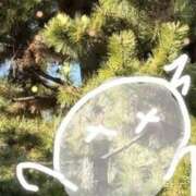 ヒメ日記 2025/03/26 22:29 投稿 小桜　すずね SM東京　新宿店