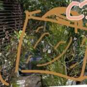 ヒメ日記 2025/05/08 22:09 投稿 小桜　すずね SM東京　新宿店