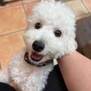 ヒメ日記 2026/03/27 12:43 投稿 上坂 BBW錦糸町店