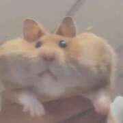 ヒメ日記 2025/12/18 15:24 投稿 【愛野 ひな】 梅田ムチSpa女学院