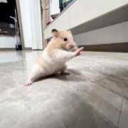 ヒメ日記 2026/01/06 11:44 投稿 【愛野 ひな】 梅田ムチSpa女学院