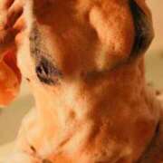 ヒメ日記 2025/12/11 19:27 投稿 ことは ごほうびSPA福岡店